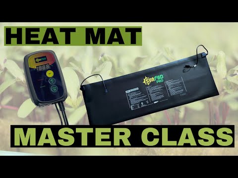Video: Apa Fungsi Heat Mat – Menggunakan Heat Mat Untuk Bibit
