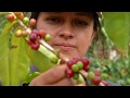 Agricultura al Día 1 de junio de 2017 - Especial #DíaDelCampesino