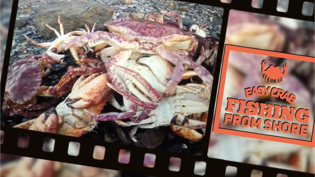 EASY Crab Fishing with a Fishing Pole YouTube