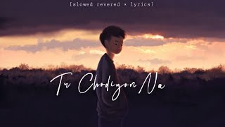 Tu chodiyon na slowed revered lofi (Official Lyrical Video) - New Hindi Song 2022 @RonitVinta