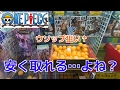 UFOキャッチャー【ワンピース】すぐに取れそう！……あれ？？？
