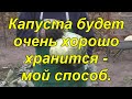 Подготовка к хранению и правильное хранение поздней капусты.