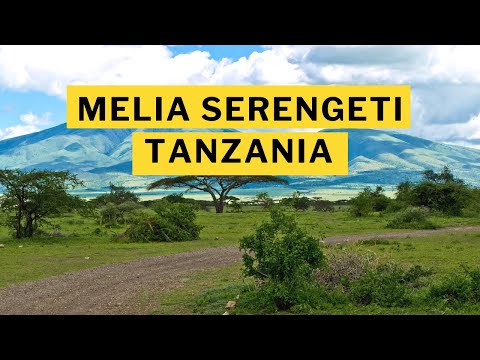 viaje a tanzania