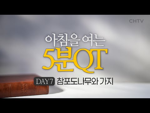 참포도나무와 가지 | 부활을 향한 묵상시리즈 DAY7 [5분QT]