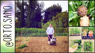 Preparare il terreno per la semina | Piantare i carciofi cipolle e aglio