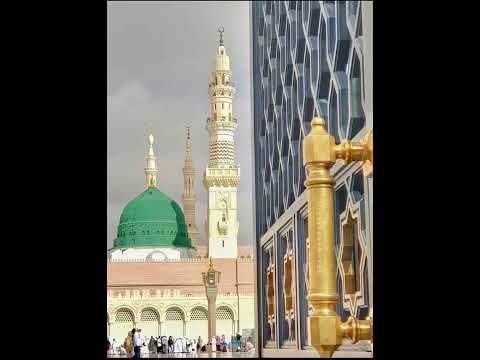 تواترت الأدلة والنقول فما يحصي المصنف مايقول