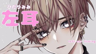 【左耳が弱い人向け耳舐め】焦らされ激しくされて頭の中がトロけてハムハム【女性向けASMRバイノーラル音声】