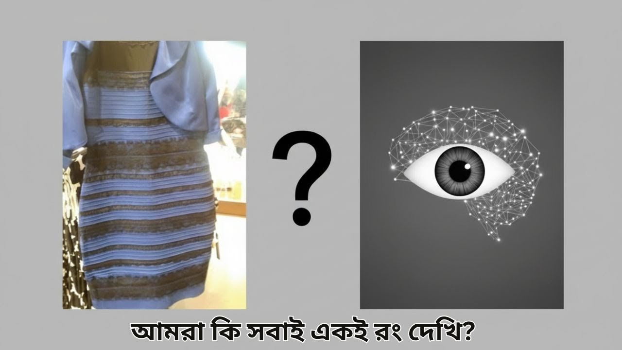 রং কি বাস্তব, নাকি মস্তিষ্কের তৈরি? |How the Brain Creates Color