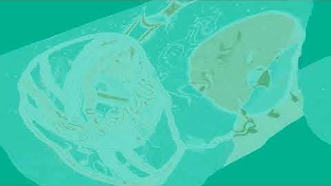 Preview 2mr Render Pack Collection Extended^9