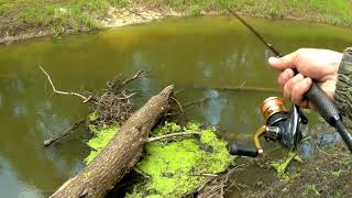 Видео Места, куда хочется вернуться. Красивая река. Новый спиннинг Dragon Pro Guide X (автор: Serginio Fishing TV - рыболовный канал)