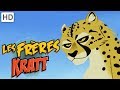 Les Frères Kratt 🐆  Écoutez le rugissement des grands félins 🐾 | Vidéos pour Enfants