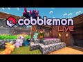 Cobblemon Modded Minecraft chill stream