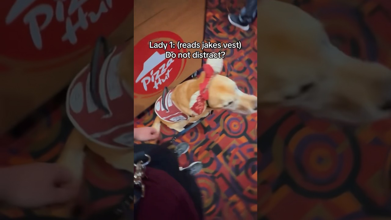 Emotional support dogs are different then service dogs. 