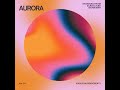 [FREE] Reggaeton Sample Pack - "AURORA" | Melody Loops (Tainy, Jhayco, Sky)