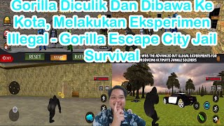 Gorilla Diculik Dan Dibawa Ke Kota, Melakukan Eksperimen Illegal - Gorilla Escape City Jail Survival screenshot 2