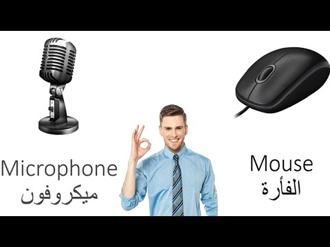 الدرس 14 تعلم مكونات وأجزاء الحاسوب باللغة الانجليزية للمبتدئين  