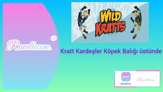 Rewellecom. Köpek Balıklarının Üstünde.