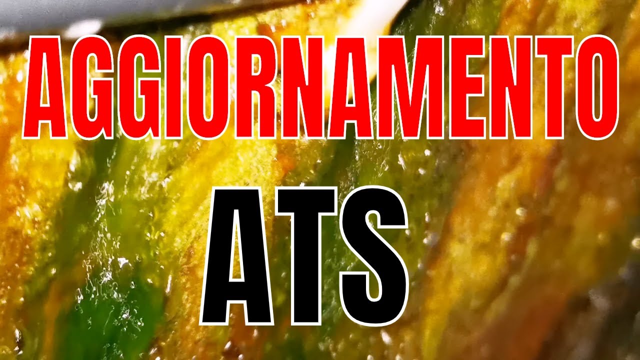 Filtro ATS - AGGIORNAMENTO ALGAE TRUFT SCRUBBER ACQUARIO MARINO - YouTube