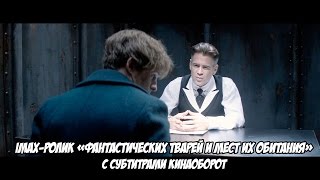 IMAX-ролик «Фантастических тварей и мест их обитания» с субтитрами Кинаоборот