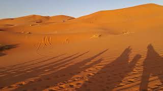 Camel Riding in Sahara Desert, Morocco Global Adventures from nawal s. 🇲🇦