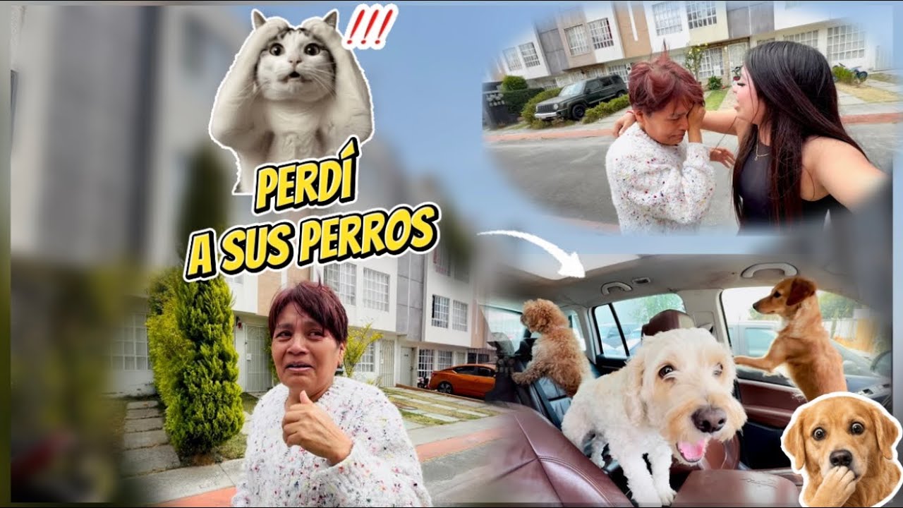 BROMA EXTREMA SE SALE DE CONTROL MI ABUELA TERMINA LLORANDO‼️🫣 / Frida Sosa 💗