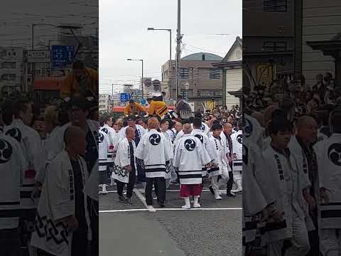 令和5年 松山道後秋祭り・喧嘩神輿鉢合わせ 溝辺町大御輿 対 持田連合大御
