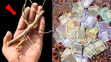 चाहे मर जाना लेकिन 1 जनवरी 2026 के दिन ये जड़/पौधा जरूर लाना करोड़पति बन जाओगे | New Year 2026 