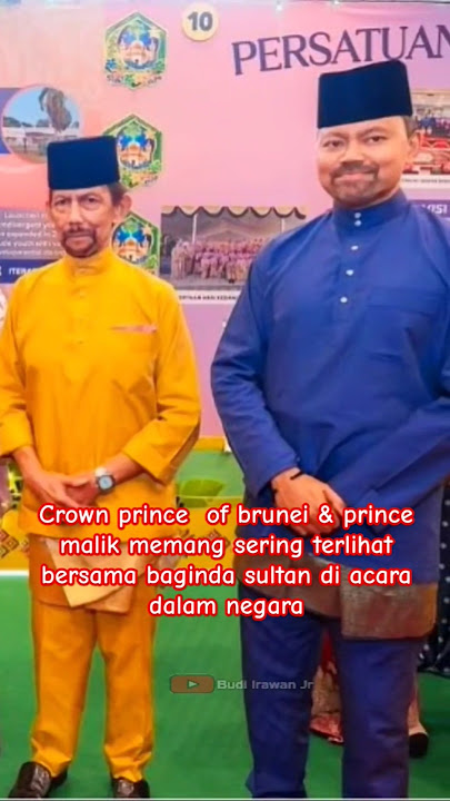 2 pangeran yang sering terlihat bersama baginda sultan