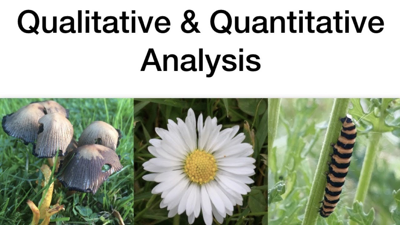 qualitative research in biology
