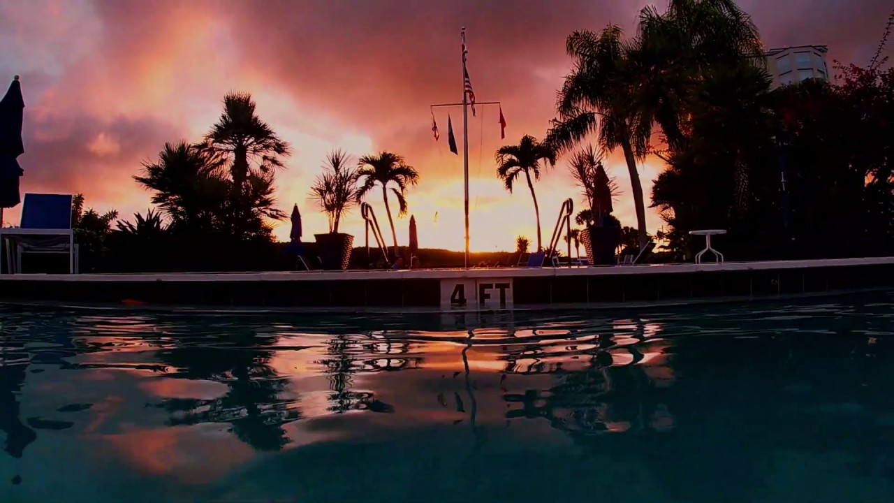 Florida Vibes