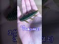 【口コミあり】冬に釣れるノーシンカー3選(バス釣り)