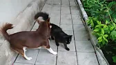 Просто жизнь.