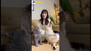 음력 설날에만 사용하는 물은?...