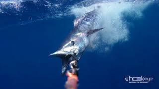 Fishing Wahoo with Hook-eye Underwater Fishing Cam