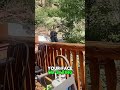 No Crime, No ID – Cop Walks Away