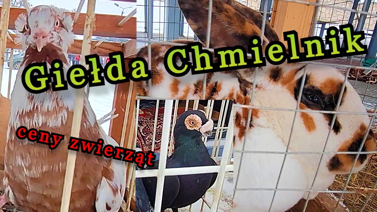 Chmielnik miejscowy targ zaprasza 