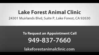 Welcome to Lake Forest Animal Clinic