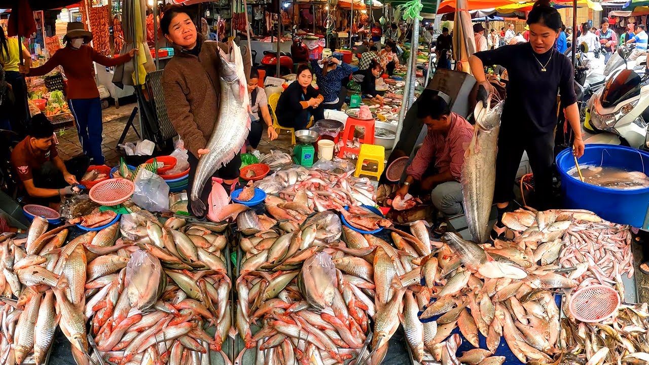 Big Fish Healthy. Cambodia Fresh Fish Market, River Fish, Boeung Trabek Market, Phnom Penh