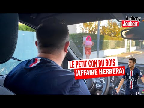 LE PETIT CON DU BOIS (AFFAIRE HERRERA)