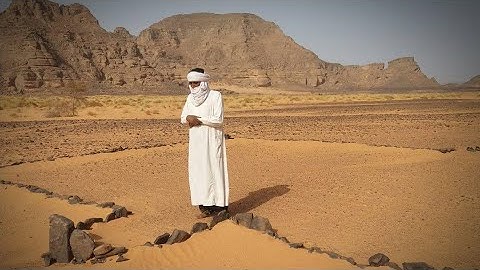 تلاوة محبّرة تحبيرًا بديعًا  | سورة المائدة  | القارئ راشد الحليبة