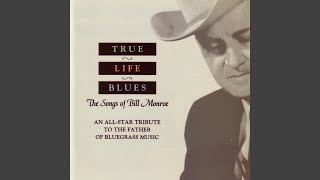 Highway Of Sorrow - Tim O'Brien