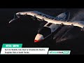 Surf Air Mobility ($SRFM) Inks Deal to Establish All-Electric Seaglider Hub in South Florida