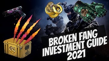 CSGO Broken Fang Investment (GUARANTEED PROFIT) Invest NOW!
