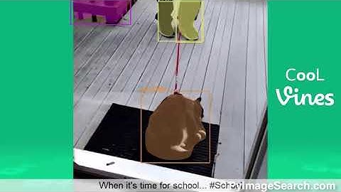 Mask R-CNN with OpenCV Demo #2