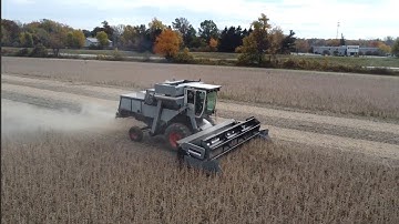 Gleaner M3 Soybean Harvest In Ohio!