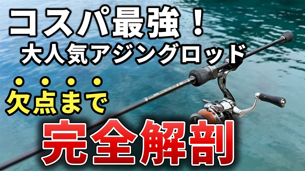 【完全解剖】コスパ最強はガチ？鯵道3G使用感徹底インプレ【612L/S】