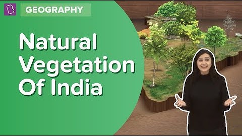 Natural Vegetation Of India | Class 6 - Geography | Learn With BYJU