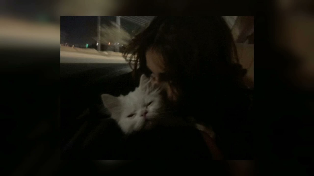 احبك ليه انا مدري | عبد المجيد عبد الله/ مسرعه