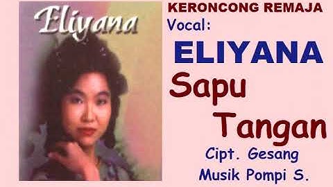 SAPU TANGAN (LIRIK) - Keroncongan - Eliyana - Musik Pompi S.