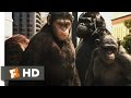 Rise Of The Planet Of The Apes 3 5 Movie ...